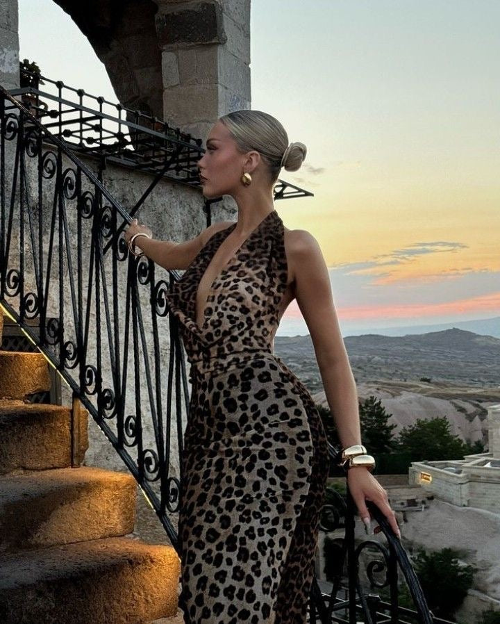Zara PhotoShoot Cheetah Dress