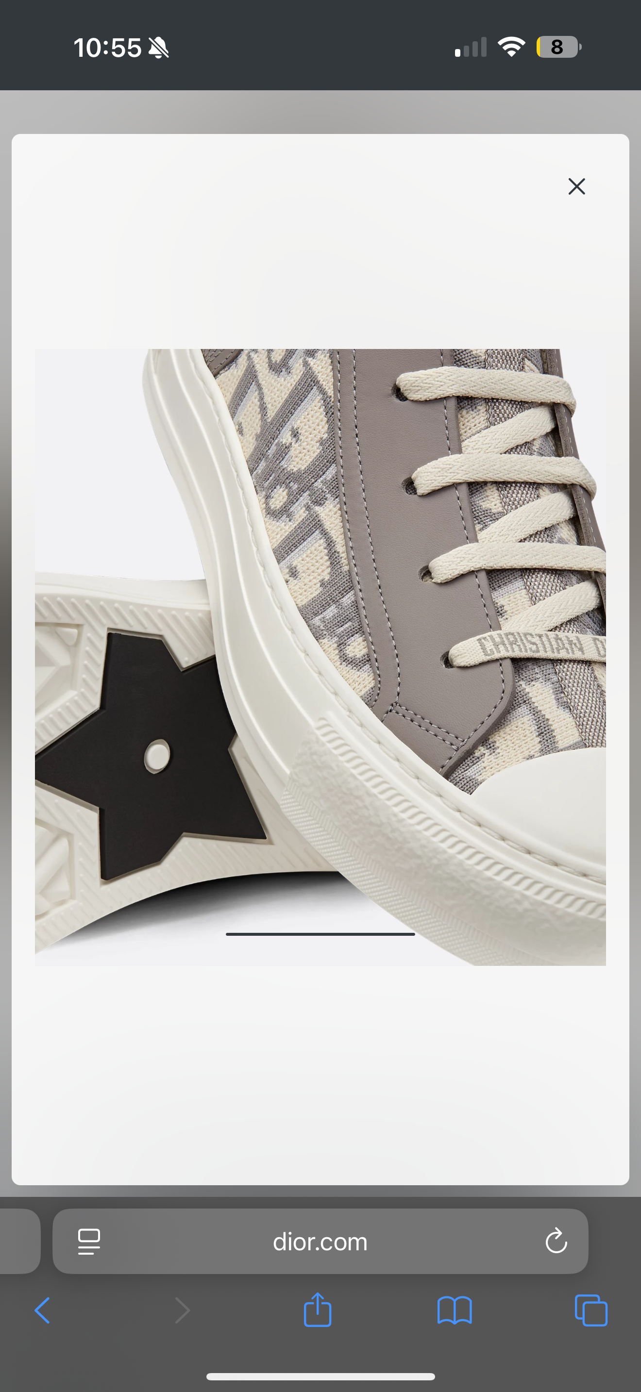 DIOR Walk'n'Dior Technical Oblig HIGH TOP Sneakers, 37.5UE (7.5)US