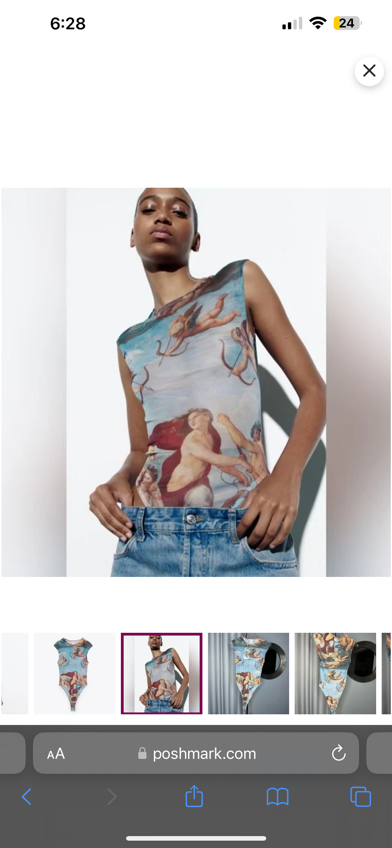 Zara Ancient Angel Art Top