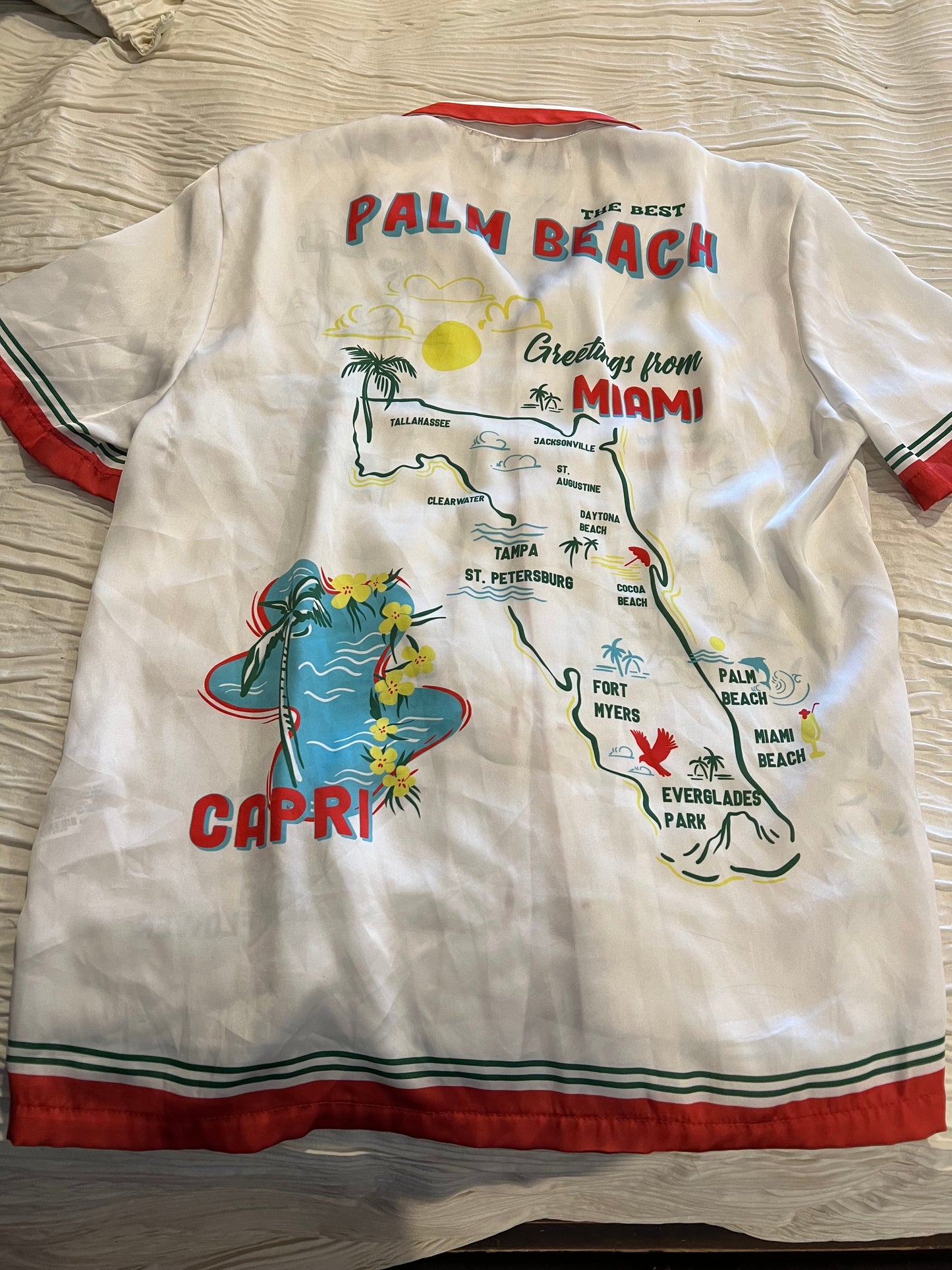 Zara Palm Beach Shirt