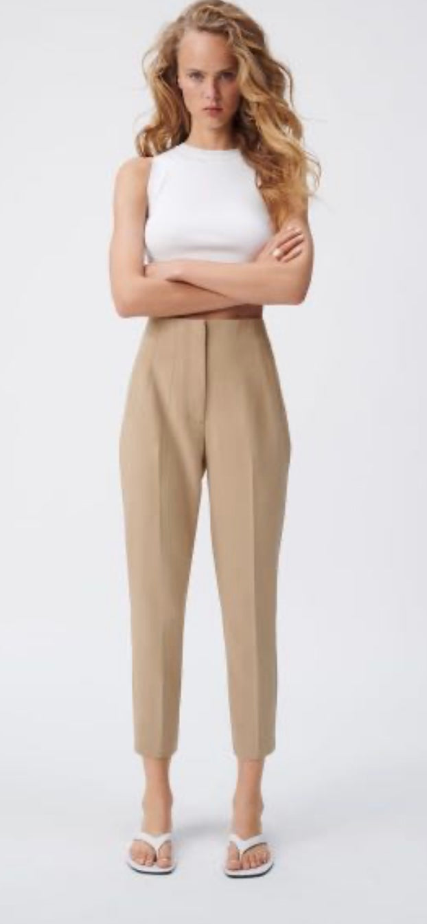 Zara Light Brown Dressing Pants