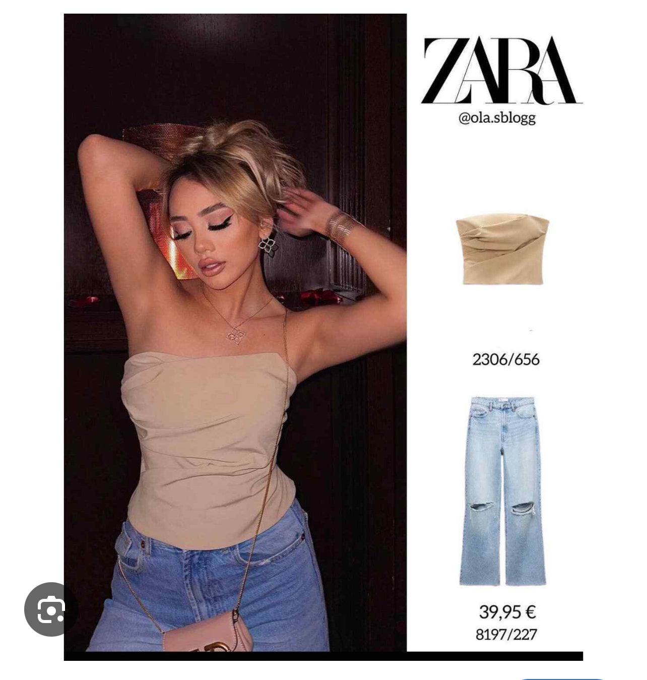 Zara Brown Bustier Top