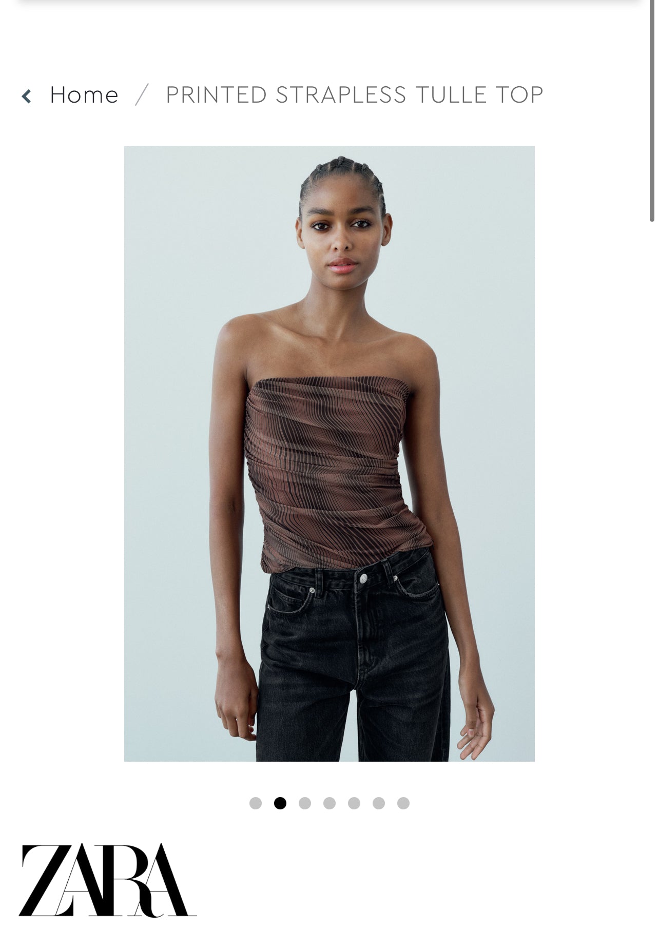 Zara Tulle Strapless Mesh Top