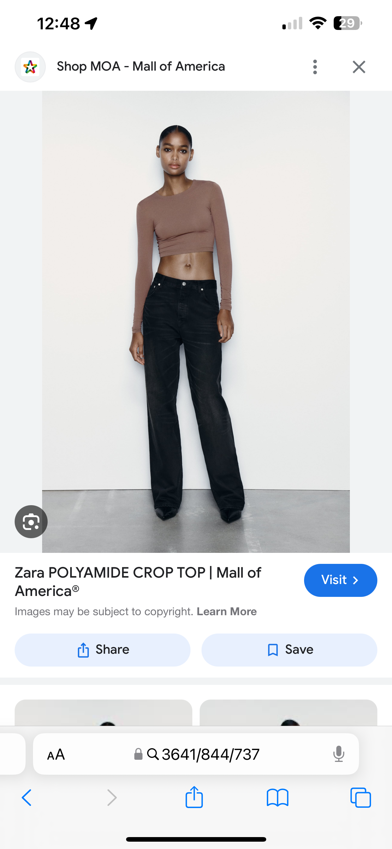 Zara Cropped Polyamide Brown Top