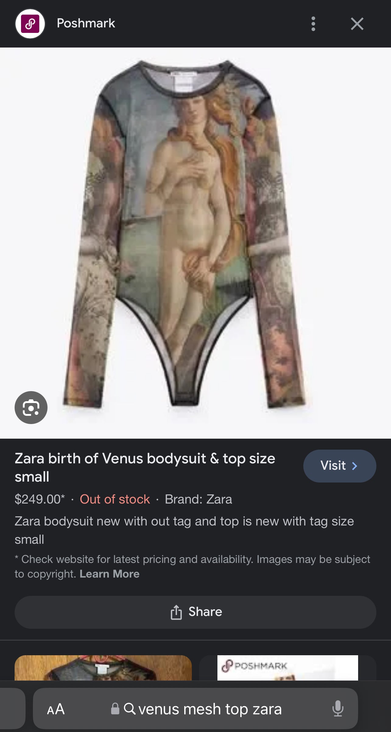 Zara Birth Of Venus Mesh Top: limited edition