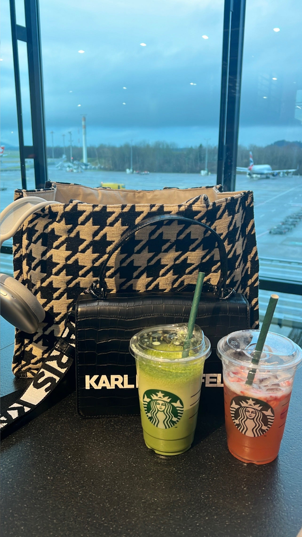 Karl Lagerfeld Purse