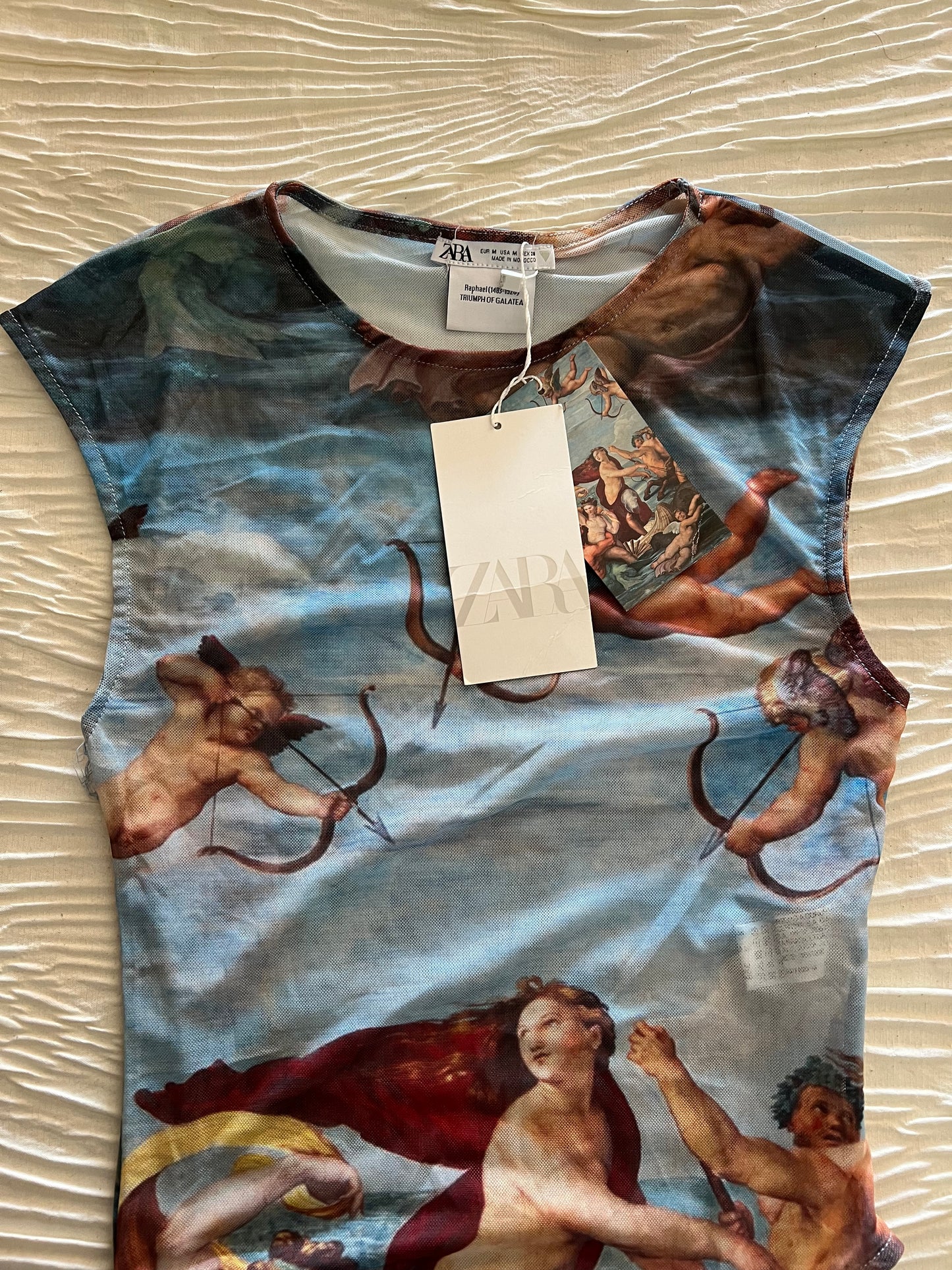 Zara Ancient Angel Art Top