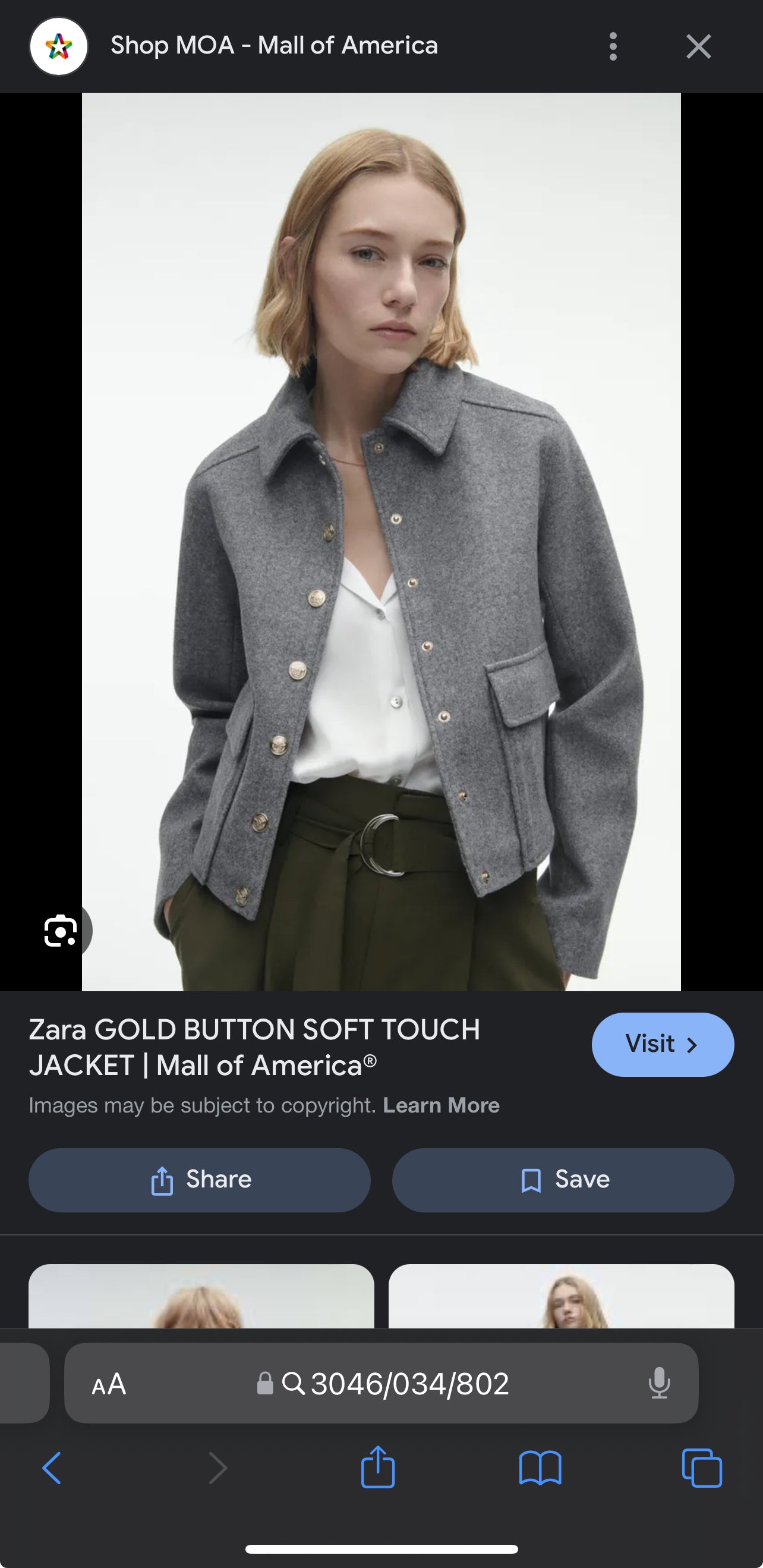 Zara Grey Coat