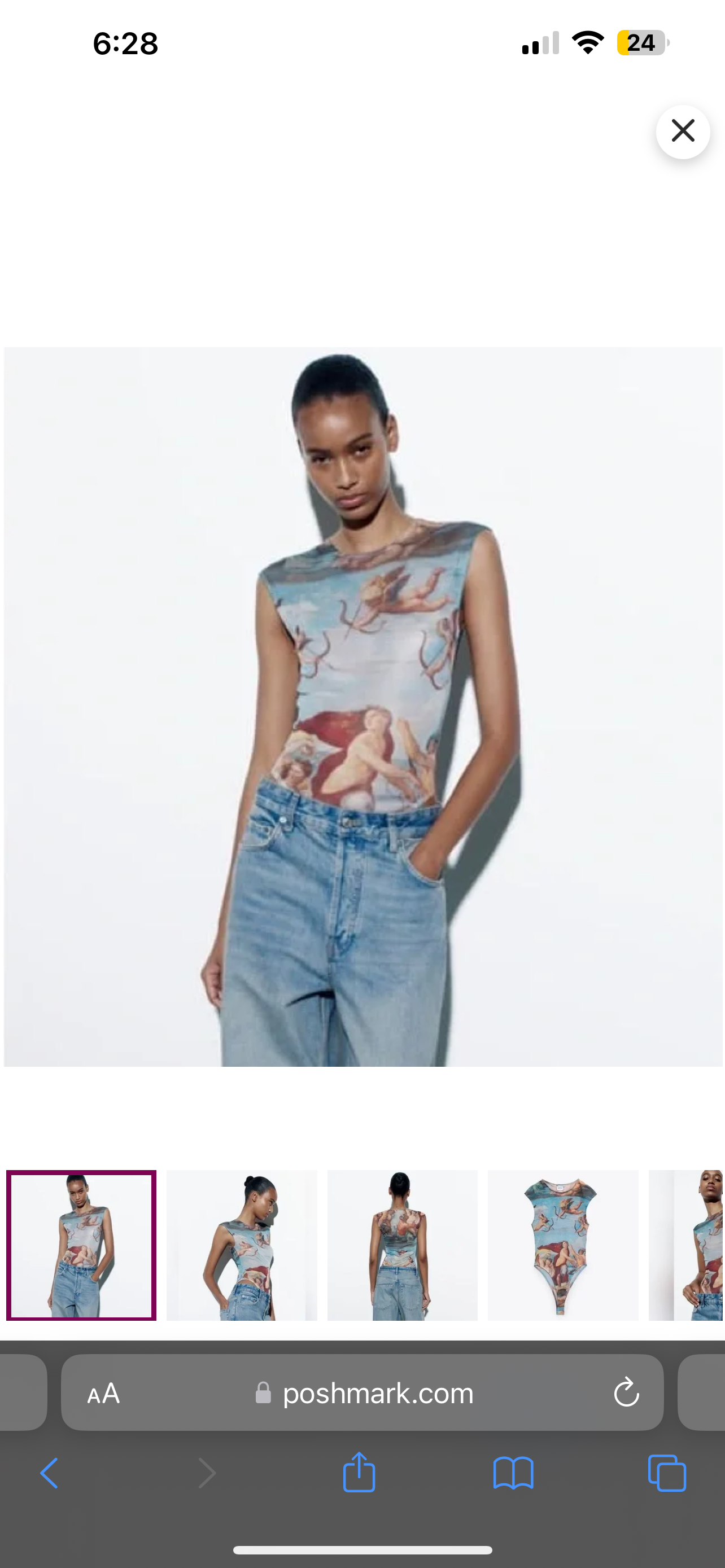 Zara Ancient Angel Art Top