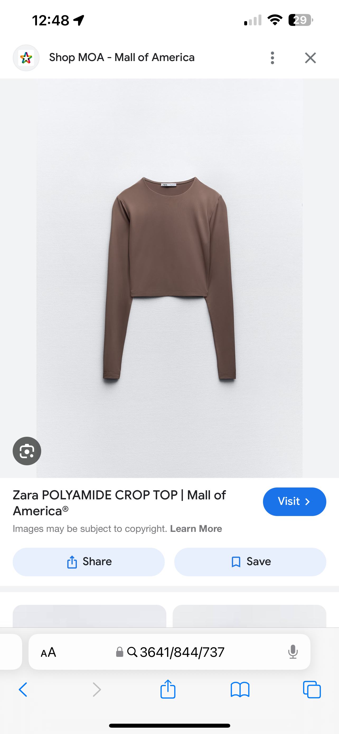 Zara Cropped Polyamide Brown Top