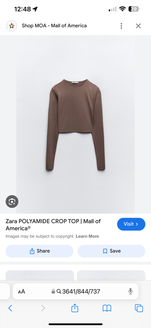 Zara Cropped Polyamide Brown Top